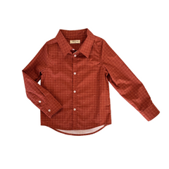 Boys' Button Down in Red Dino